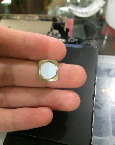 548cf128fd3604c09e72eb48cfc08ad5