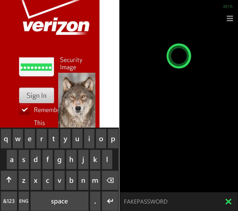 password-copy-ie-windowsphone-screenshot