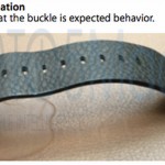 apple-watch-bands-04252015-1