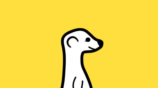 meerkat-1-624x350