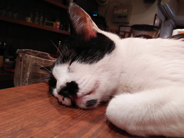 19893051774_40df7e53af_z