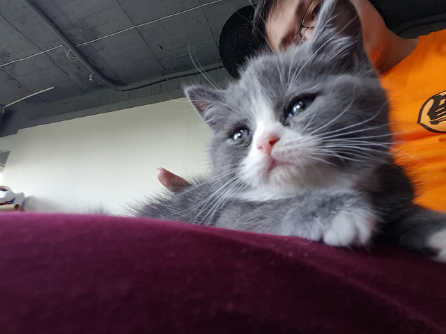 20327656378_203b0bdec7_z