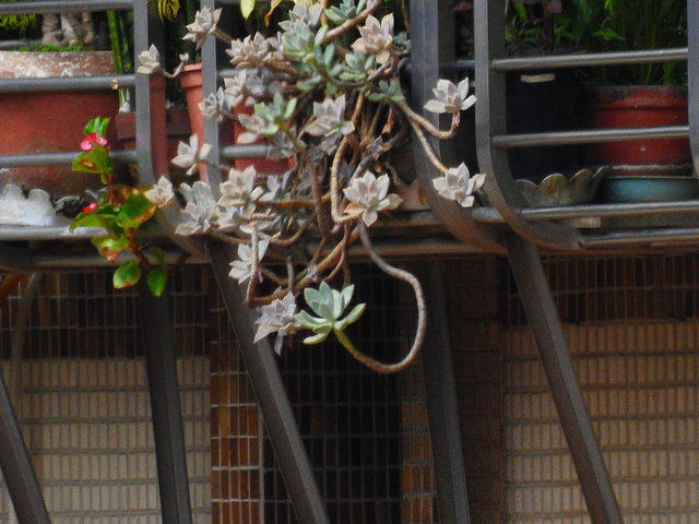 19398364693_d070575ab2_z