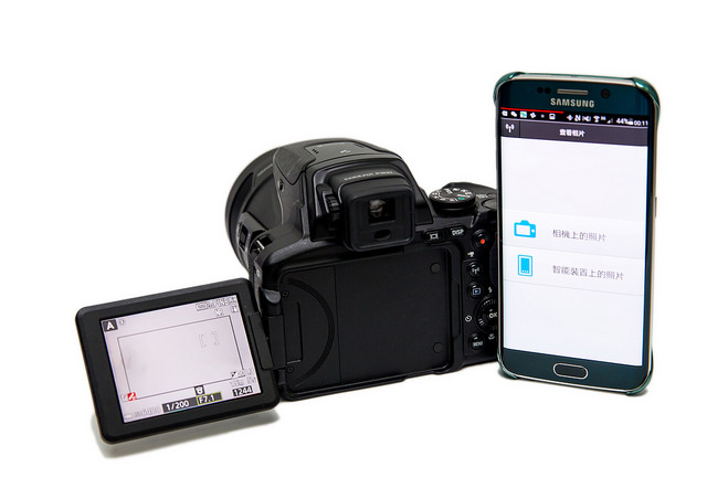 20034914461_a64a4ca1b8_z