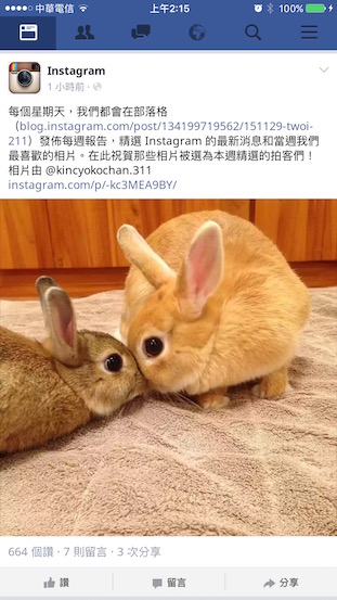 Puffin-for-Facebook_1-2