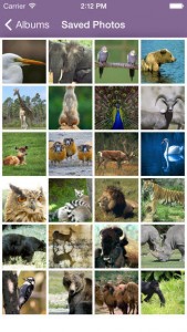 pic_Air Projector_003