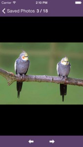 pic_Air Projector_004