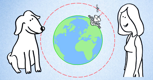 the-future-of-pet-technology-553332281-part-img-top