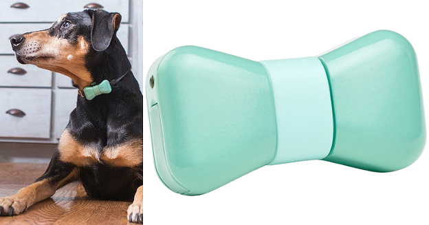 wonderwoof-bowtie-05-02-group-part-imgtop